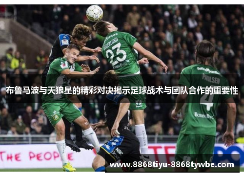 布鲁马波与天狼星的精彩对决揭示足球战术与团队合作的重要性
